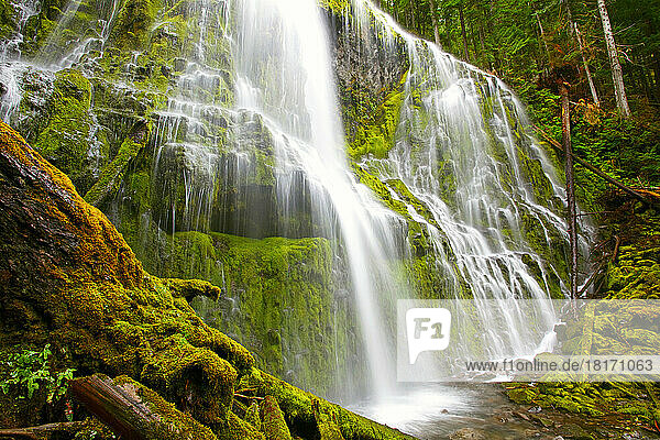 Schöner Wasserfall Proxy Falls im Willamette National Forest; Oregon  Vereinigte Staaten von Amerika