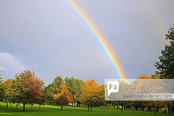 Regenbogen über herbstlich gefärbten Bäumen in einem Park in Portland  Oregon  USA; Portland  Oregon  Vereinigte Staaten von Amerika