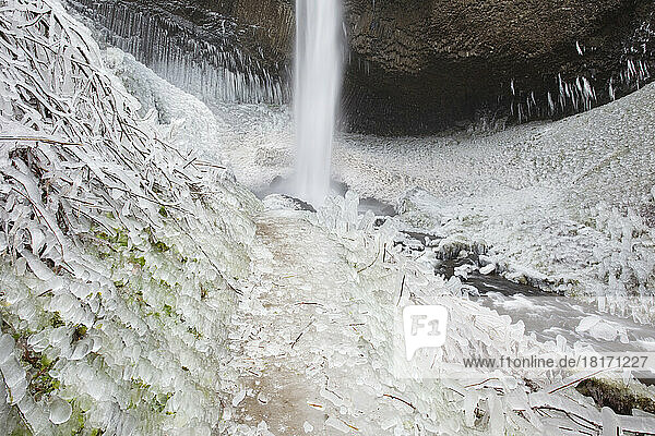 Close-up of winter ice after a storm along Latourell Falls  Columbia River Gorge National Scenic Area  Oregon  USA; Oregon  United States of America