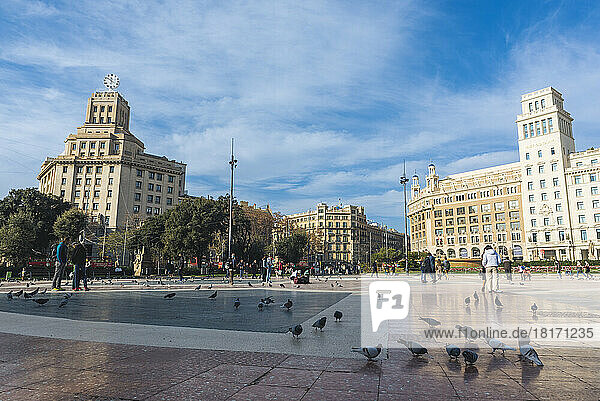 Tauben (Columba livia domestica) und Fußgänger auf dem Placa de Catalunya  Barcelona  Spanien; Barcelona  Spanien