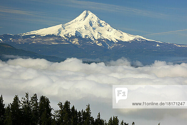 Blauer Himmel hebt den schneebedeckten Mount Hood hervor und Morgennebel liegt über dem Hood River Valley  Oregon  USA; Oregon  Vereinigte Staaten von Amerika