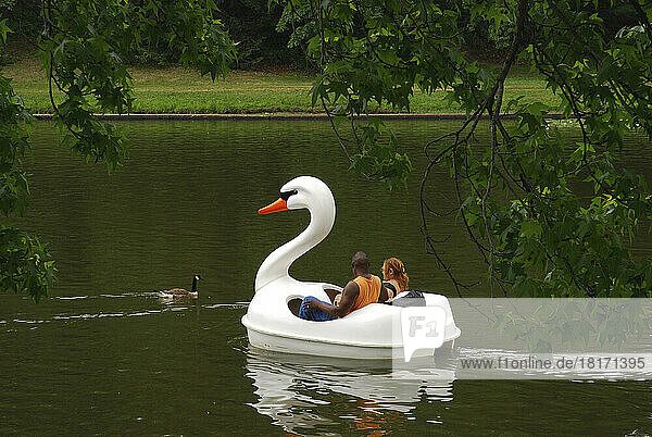 Zwei Personen in einem Schwanenboot auf einem Teich. Eine Kanadagans schwimmt vorbei; Providence  Rhode Island.