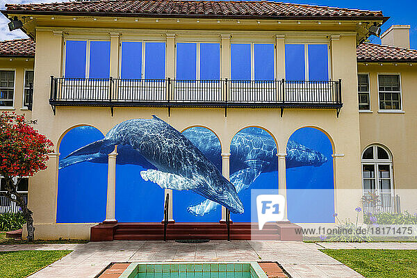 Künstlerisches Fantasiebild von Buckelwalen (Megaptera novaeangliae) innerhalb und außerhalb eines Gebäudes; Kunstwerk