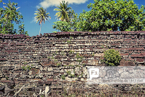Eine der drei massiven Mauern  die aus riesigen vulkanischen Basaltsäulen bestehen. Nan Madol ist die einzige erhaltene antike Stadt  die auf einem Korallenriff erbaut wurde. Im Jahr 1985 wurden die Ruinen zu einem historischen Denkmal erklärt  und es werden größere Anstrengungen zu ihrer Erhaltung unternommen; Pohnpei  Föderierte Staaten von Mikronesien