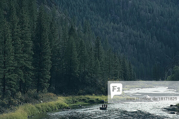 Fishing for steelhead on the Salmon River.; Salmon River  Idaho  United States of America