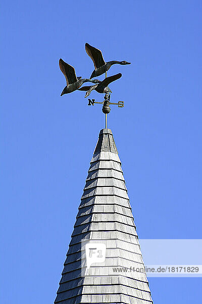 Geese weather vane atop a church steeple.; Tremont Road  Bass Harbor  Mount Desert Island  Maine.