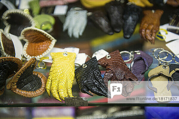 Souvenirs aus den Pfoten von Krokodilarten werden auf dem Flughafen von Hanoi in Vietnam verkauft; Hanoi  Vietnam