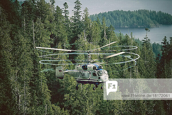 Swirling blades of a helicopter used for logging fill the air as it flies over Clayoquot Sound and Vancouver Island  BC  Canada; British Columbia  Canada