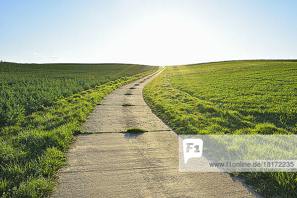 Road through Field with Sun  Helmstadt  Franconia  Bavaria  Germany