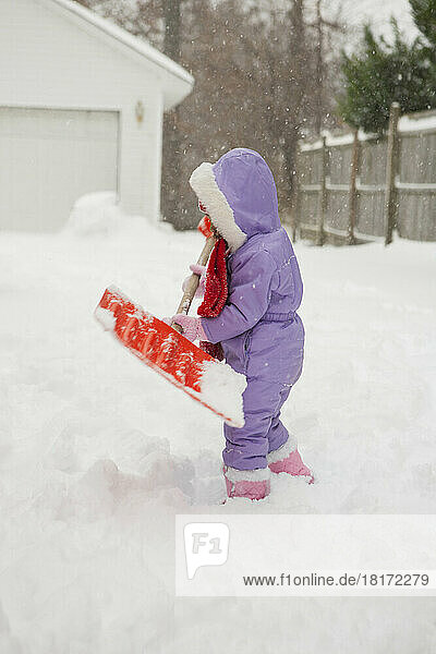 Toddler Girl Shoveling Snow  Maryland  USA