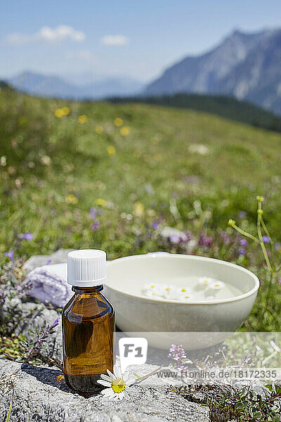Homeopathic Medicine and Chamomile  Strobl  Salzburger Land  Austria