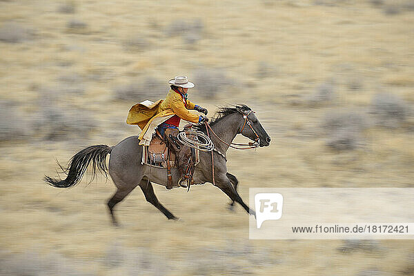 Blurred motion of cowgirl on horse galloping in wilderness  Rocky Mountains  Wyoming  USA