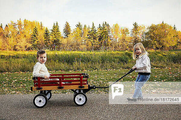 Young girl pulling her brother in a wagon at a city park along a river during the fall season; St. Albert  Alberta  Canada