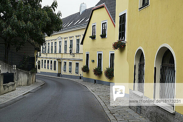 Street with Yellow Buildings  Grinzing  Dobling  Vienna  Austria