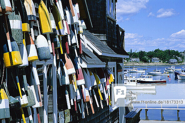 Bass Harbor  Mount Desert Island  Maine  USA