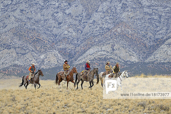 Cowboys and Cowgirls riding horses in wlderness  Rocky Mountains  Wyoming  USA