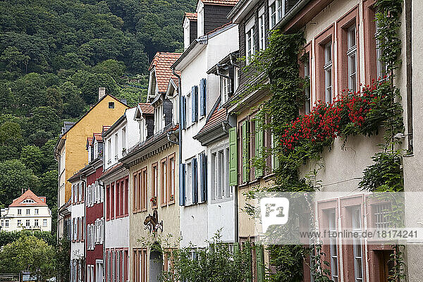 Exterior of Houses in Old Town  Heidelberg  Germany