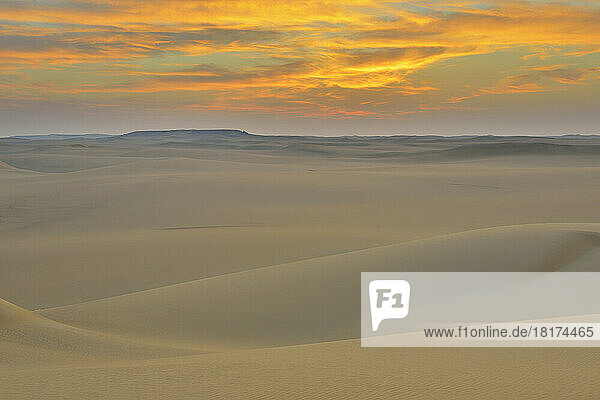 Sand Dunes at Dawn  Matruh Governorate  Libyan Desert  Sahara Desert  Egypt  Africa