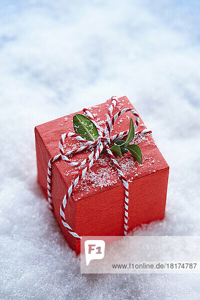 Red Christmas Gift Box with Boxwood Leaves and Candy Cane Ribbon on Surface of Snow