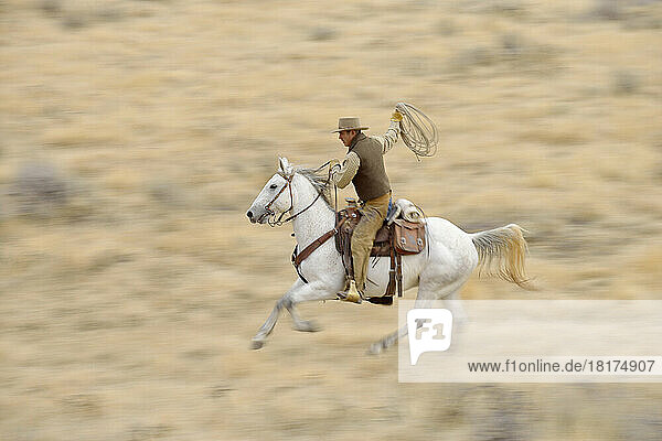 Blurred motion of cowboy on horse holding lasso galloping in wilderness  Rocky Mountains  Wyoming  USA