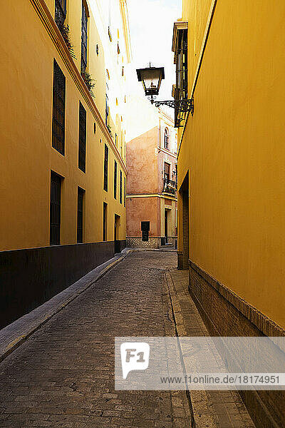 Narrow Street in Seville  Andalucia  Spain