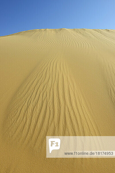 Sand Dune and Blue Sky  Matruh  Great Sand Sea  Libyan Desert  Sahara Desert  Egypt  North Africa  Africa