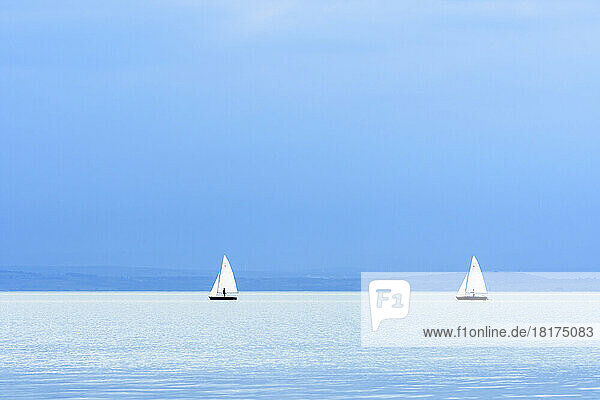 Lake with Sailboats at Weiden am See  Lake Neusiedl  Burgenland  Austria
