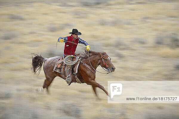 Blurred motion of cowboy on horse galloping in wilderness  Rocky Mountians  Wyoming  USA