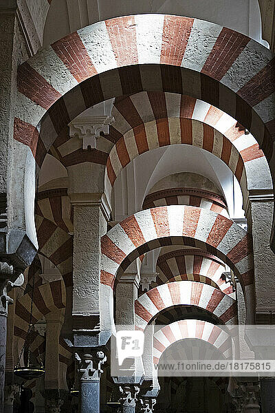 Interior of Mezquita-Catedral de Cordoba in Cordoba  iAndalucia  Spain
