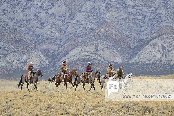 Cowboys and Cowgirls riding horses in wilderness  Rocky Mountains  Wyoming  USA