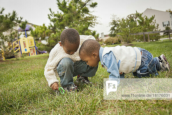 Brothers Observing Grass under Magnifying Glass in Park  Maryland  USA