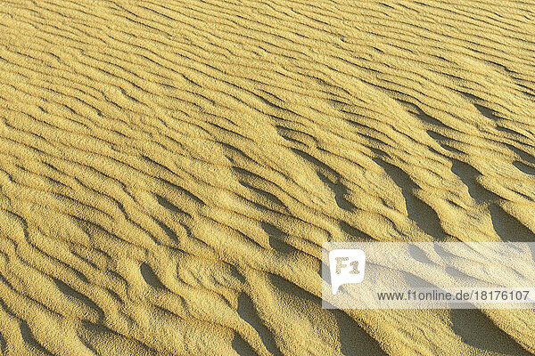 Close-up of Sand Dune Patterns  Matruh  Great Sand Sea  Libyan Desert  Sahara Desert  Egypt  North Africa  Africa
