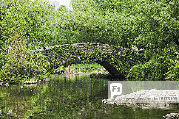 Gapstow Bridge  Central Park  Manhattan  New York City  New York  USA