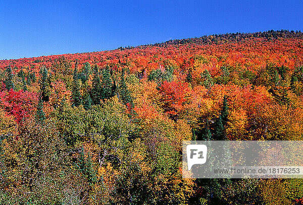 Cliff and Mountains in Autumn Dixville Notch State Park New Hampshire  USA