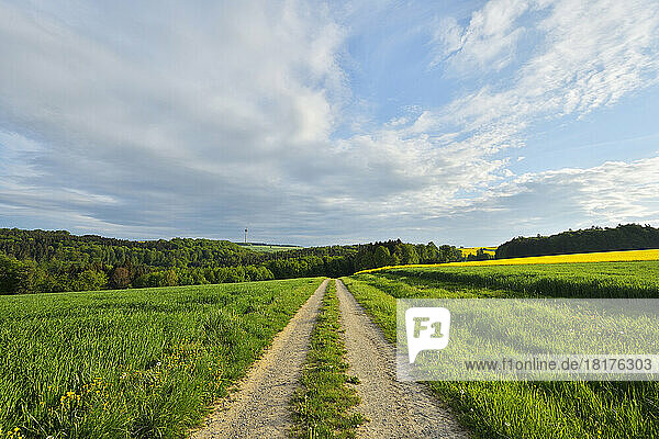 Gravel Road in Countryside in Spring  Reichartshausen  Amorbach  Odenwald  Bavaria  Germany