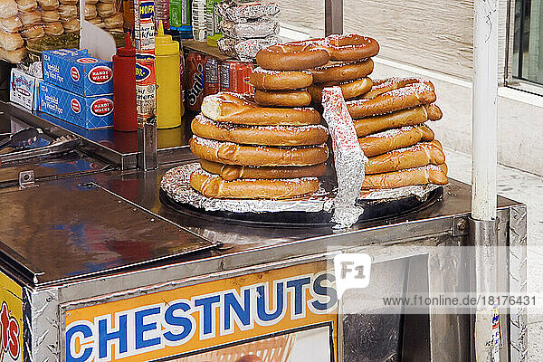 Food Vendor on Fifth Avenue  Manhattan  New York City  New York  USA