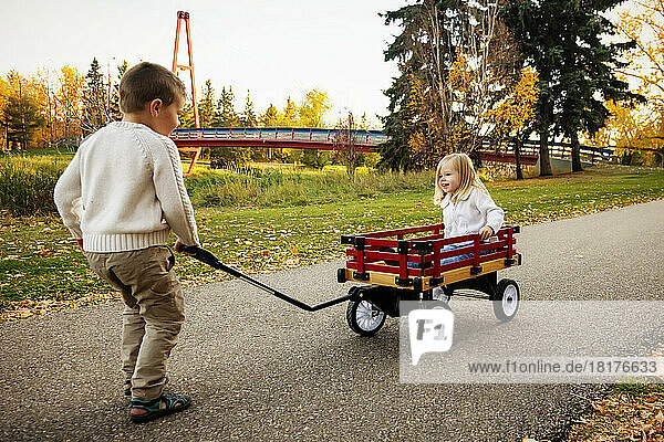 Young boy pulling his sister in a wagon at a city park along a river during the fall season; St. Albert  Alberta  Canada