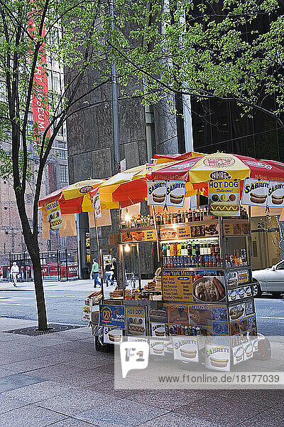 Hot Dog Cart  New York City  New York  USA