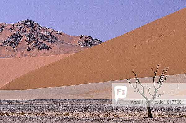 Namib Desert  Sossusvlei  Namibia
