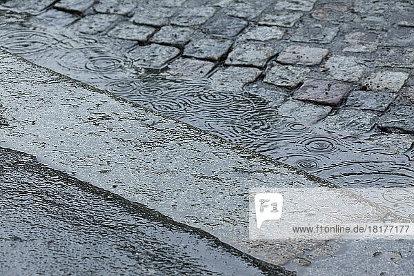 Curb of Cobbled Stone Road  Paris  Ile-de-France  France