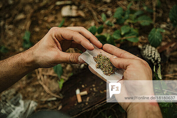Hände eines jungen Mannes  der im Wald einen Marihuana-Joint dreht