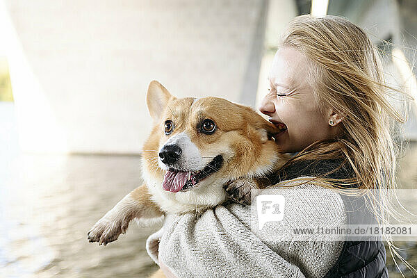 Blond woman laughing and holding cute dog sticking out tongue