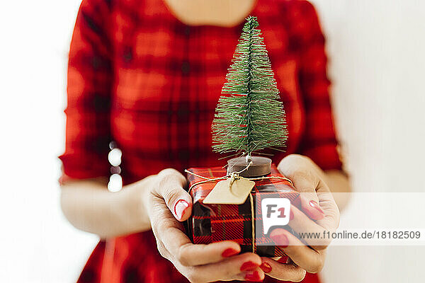 Woman holding gift with Christmas tree