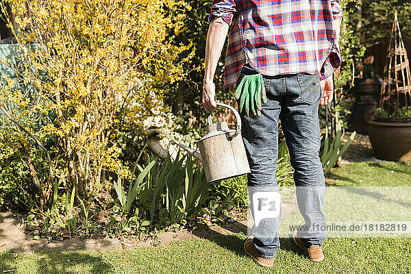 Close-up of man watering plants in garden