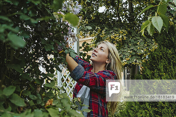 Woman with blond hair examining plant in garden