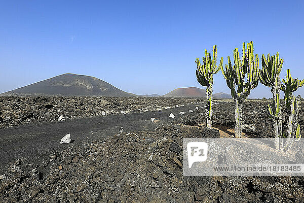 Spain  Canary Islands  Road stretching across volcanic landscape of Lanzarote island