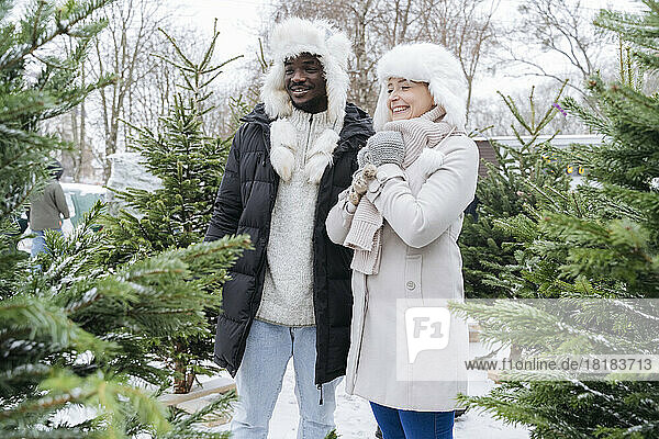 Happy couple buying Christmas tree at market