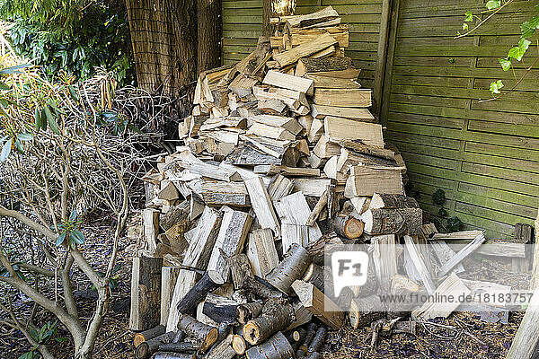 Heap of firewood lying in back yard