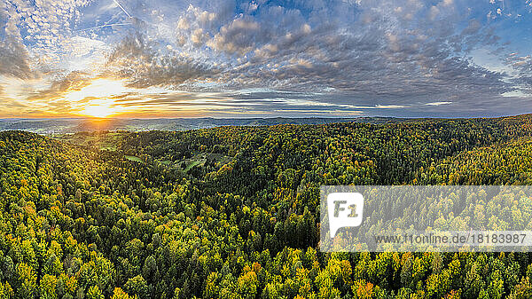 Germany  Baden-Wurttemberg  Drone view of Wieslauftal forest at autumn sunset