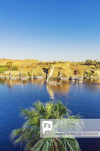 Egypt  Aswan Governorate  Aswan  Sailboats floating on bank of Nile river